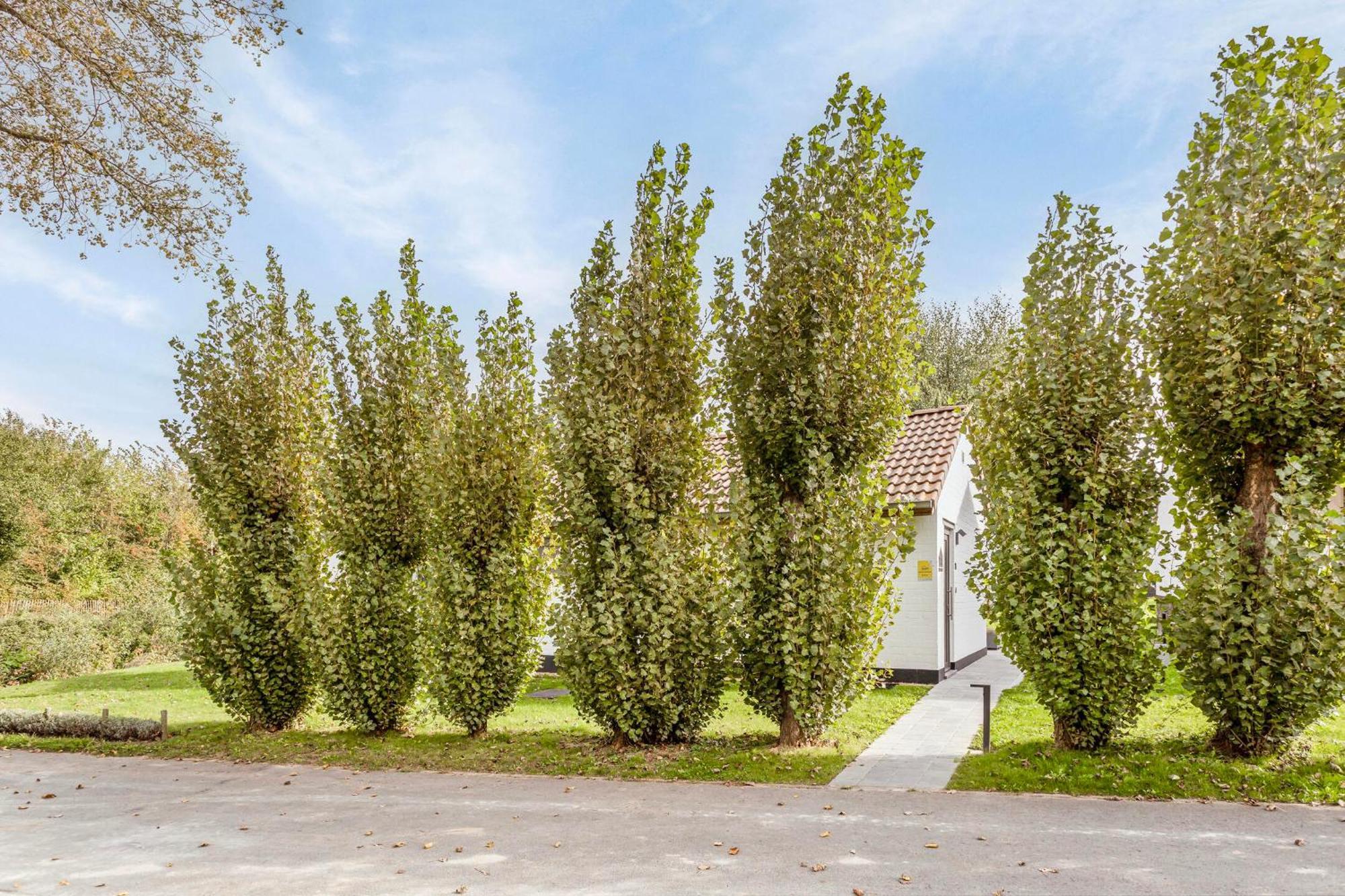 Ferienhaus Casa Marit Westouter